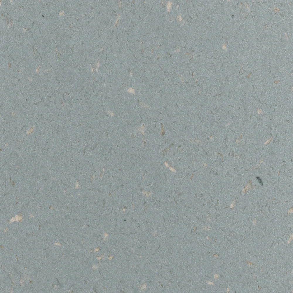 MySoda Woody vandens karbonatorius Pigeon